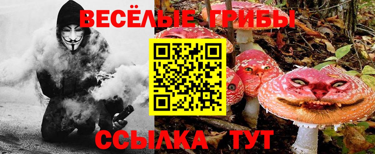 Крымск  Галлюциногенные грибы мухоморы  Вход с VPN 