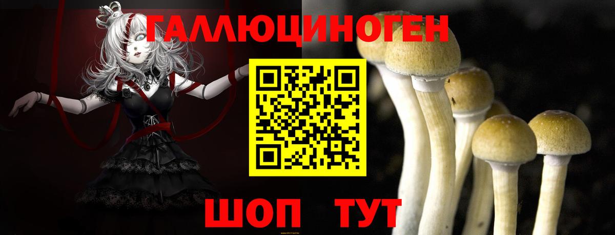 Галлюциногенные грибы MAGIC MUSHROOMS Крымск